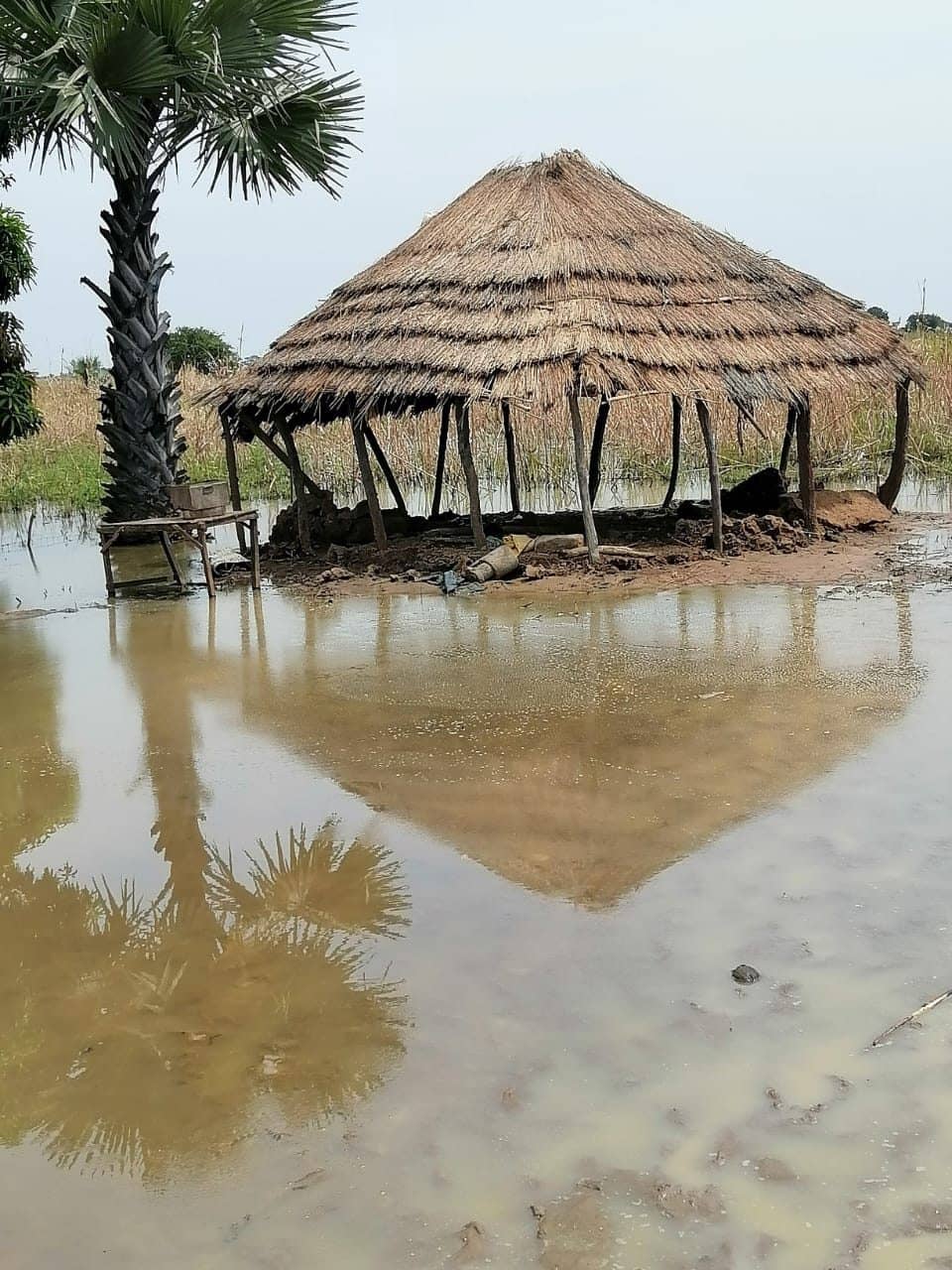 Flood-affected homestead